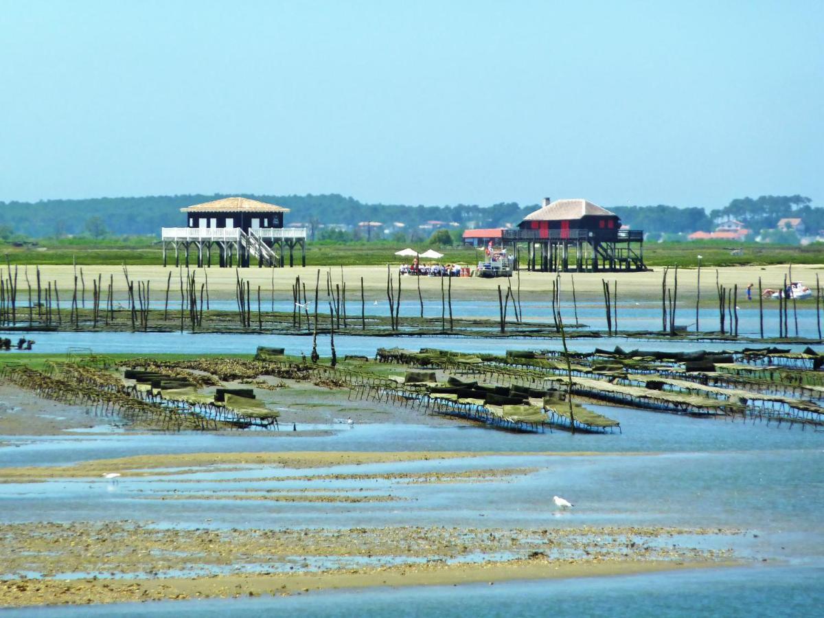 Apartment Terre Et Mer-1 By Interhome Arcachon Dış mekan fotoğraf